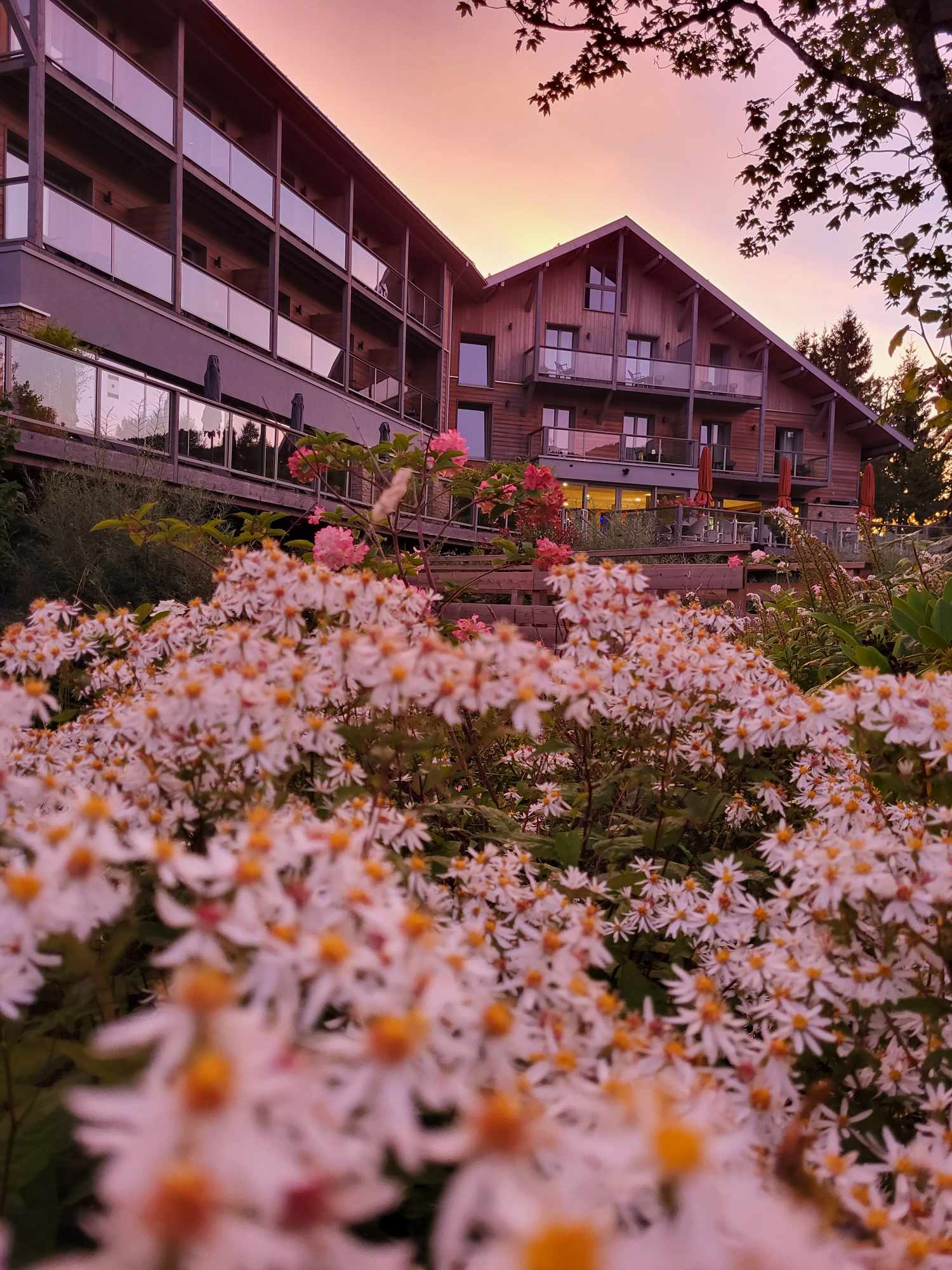 received_6450263768362480